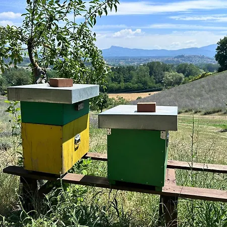 La Lavandula-3